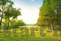 比利亚世界杯绝唱留经典-比利亚世界杯绝唱留经典
